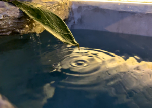QUANサウナ水風呂